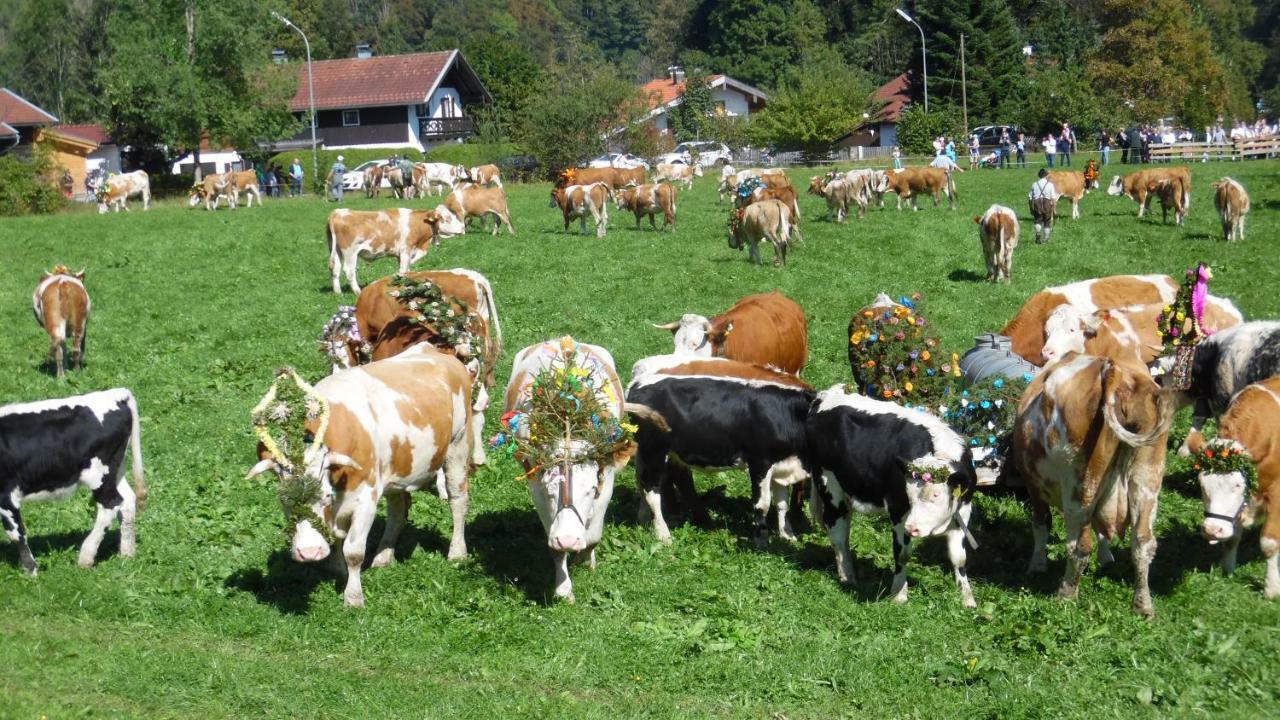 Ferienwohnung Fritzenwenger Übersee Esterno foto