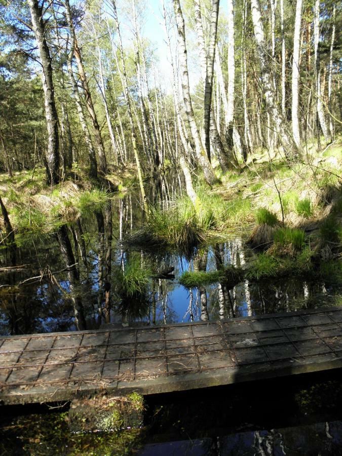 Ferienwohnung Fritzenwenger Übersee Esterno foto