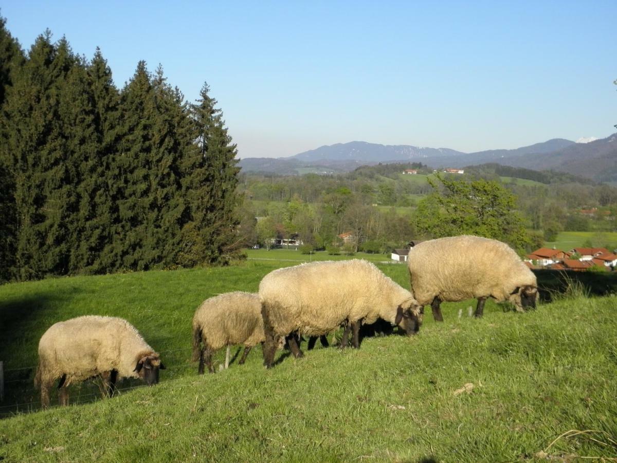 Ferienwohnung Fritzenwenger Übersee Esterno foto