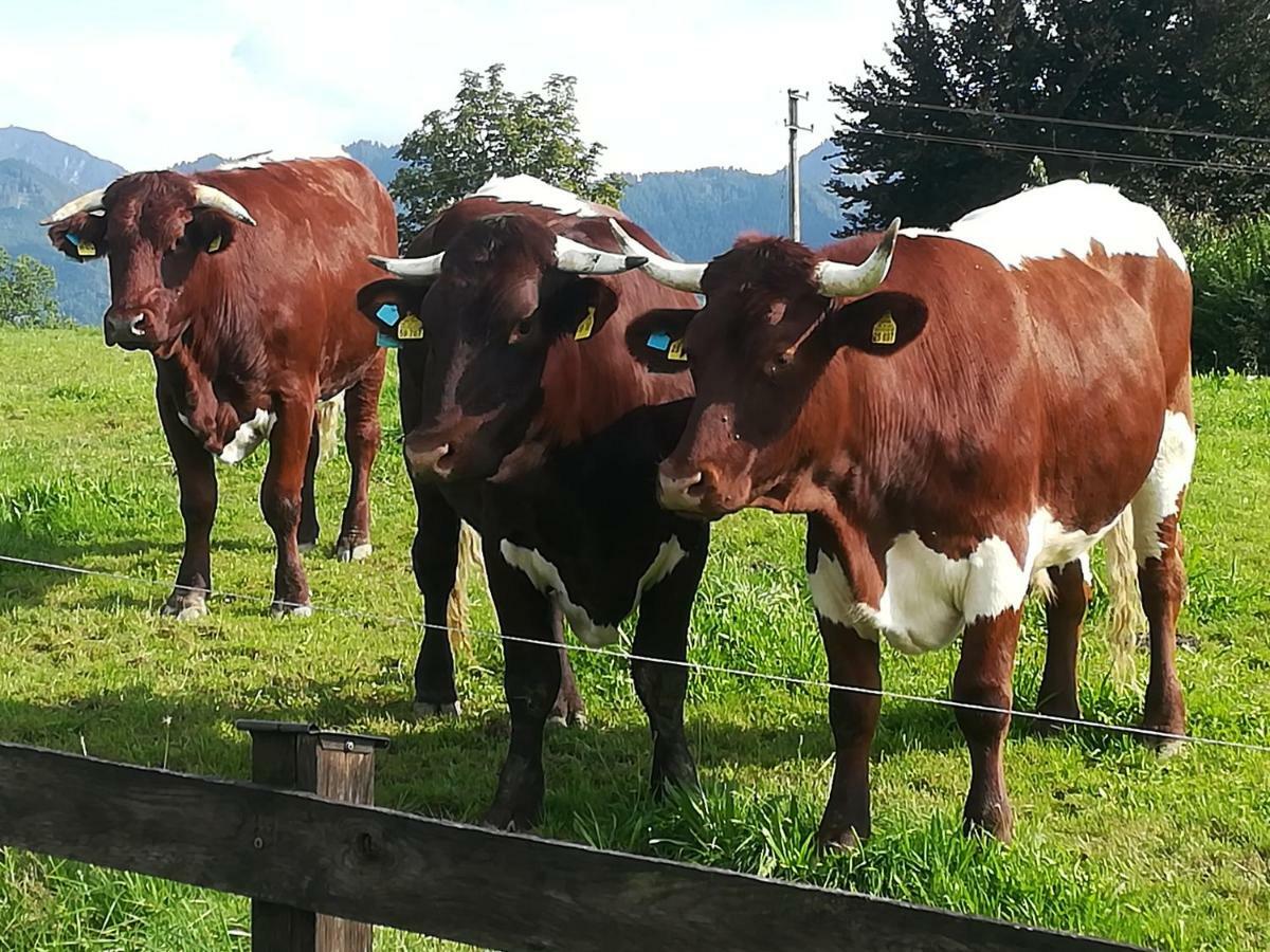 Ferienwohnung Fritzenwenger Übersee Esterno foto