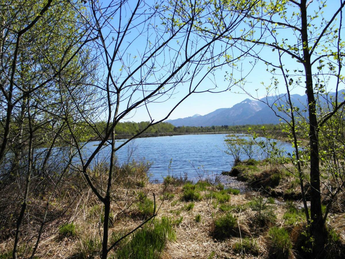 Ferienwohnung Fritzenwenger Übersee Esterno foto